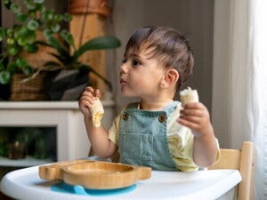 Nutrición header