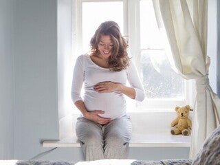 Desarrollo prenatal Desarrollo prenatal
