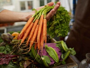Vitaminas, sales y minerales