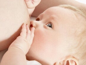 Alimenta a tu hijo con inteligencia
