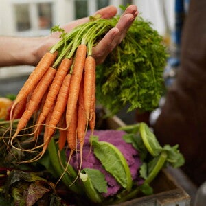 Vitaminas, sales y minerales