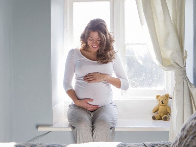 Desarrollo prenatal Desarrollo prenatal