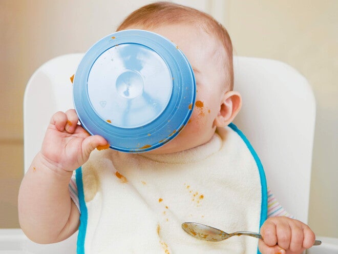 ¡Le enseño el gusto y los sabores! ¡Le enseño el gusto y los sabores!