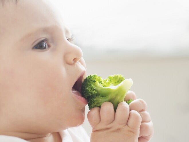¿Se puede prevenir la obesidad infantil desde de una edad muy temprana ¿Se puede prevenir la obesidad infantil desde de una edad muy temprana