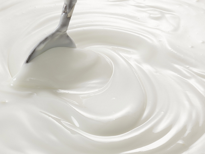 Alimentos que contienen probióticos Alimentos que contienen probióticos