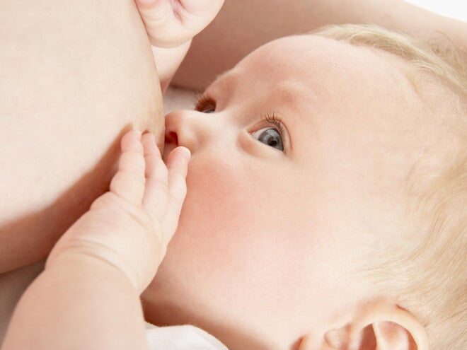 Alimenta a tu hijo con inteligencia Alimenta a tu hijo con inteligencia