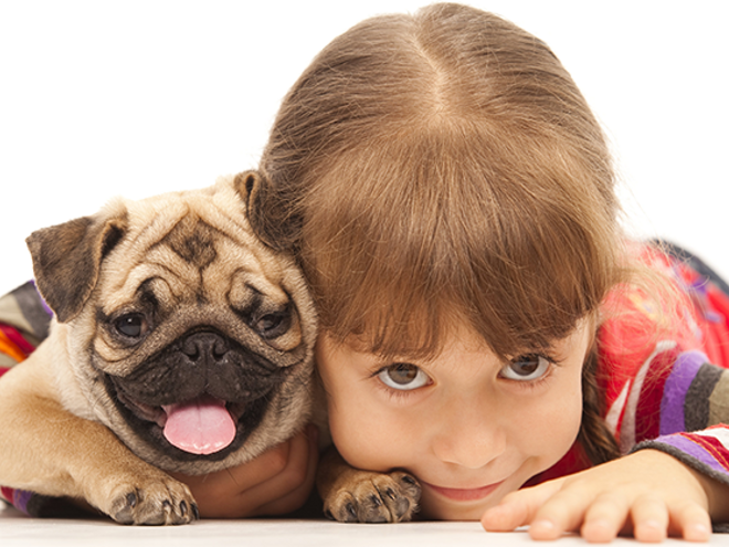 Los animales como parte de la estimulación de los hijos Los animales como parte de la estimulación de los hijos