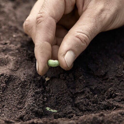 Cultivado para tu bebé