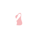 Preconcepción